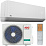 IGC RAS-V12AT
